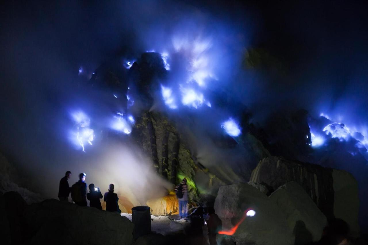 Dannu'S Homestay & Ijen, Bromo, Meru Betiri Sukomade Tours Бануванги Екстериор снимка