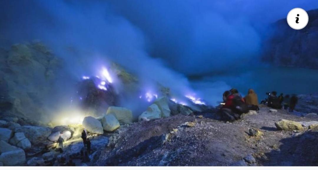Dannu'S Homestay & Ijen, Bromo, Meru Betiri Sukomade Tours Бануванги Екстериор снимка